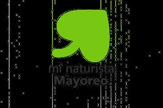 Green leaf-shaped logo with Mi Naturista Mayoreo text on dark textured background